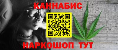 apvp Кингисепп