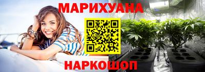 apvp Кингисепп