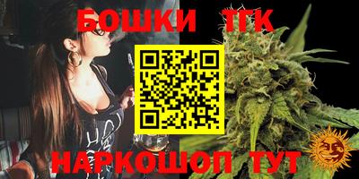 apvp Кингисепп