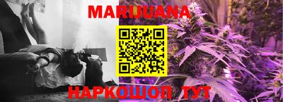 apvp Кингисепп