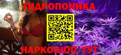ECSTASY Кимры
