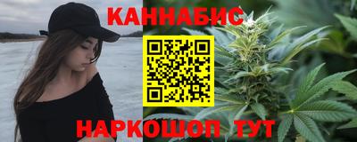 apvp Кингисепп