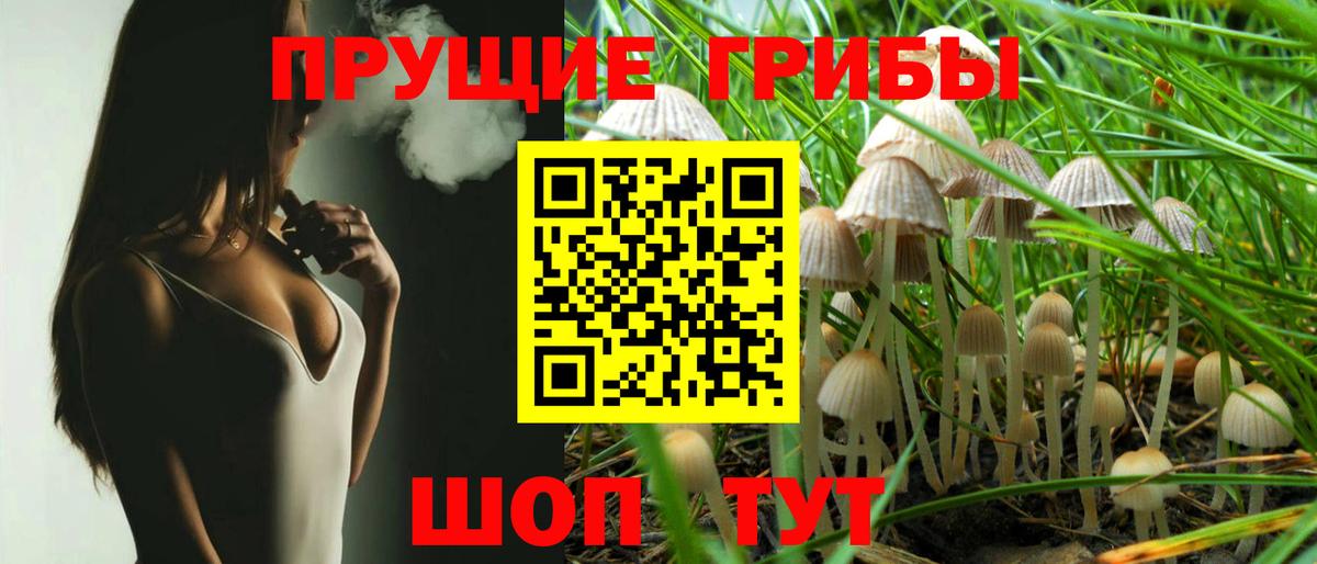 Галлюциногенные грибы Cubensis  Вход с VPN  Горно-Алтайск 